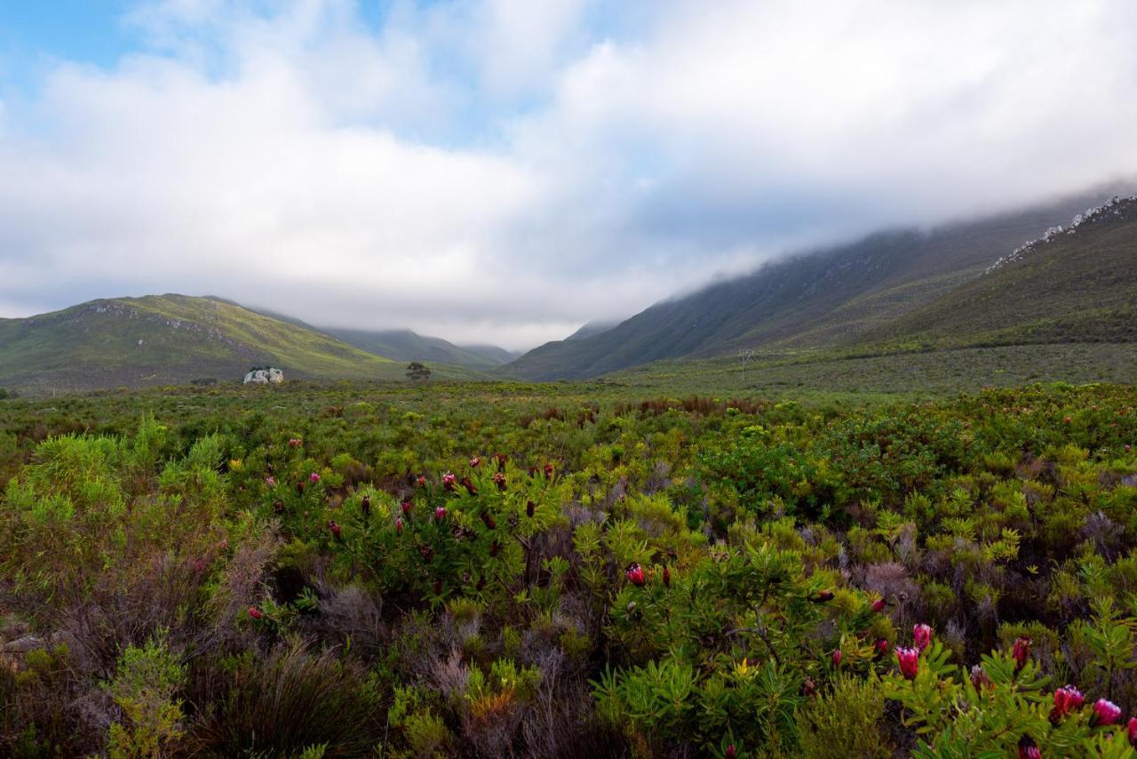 Honeyrock Cottages Kleinmond Εξωτερικό φωτογραφία