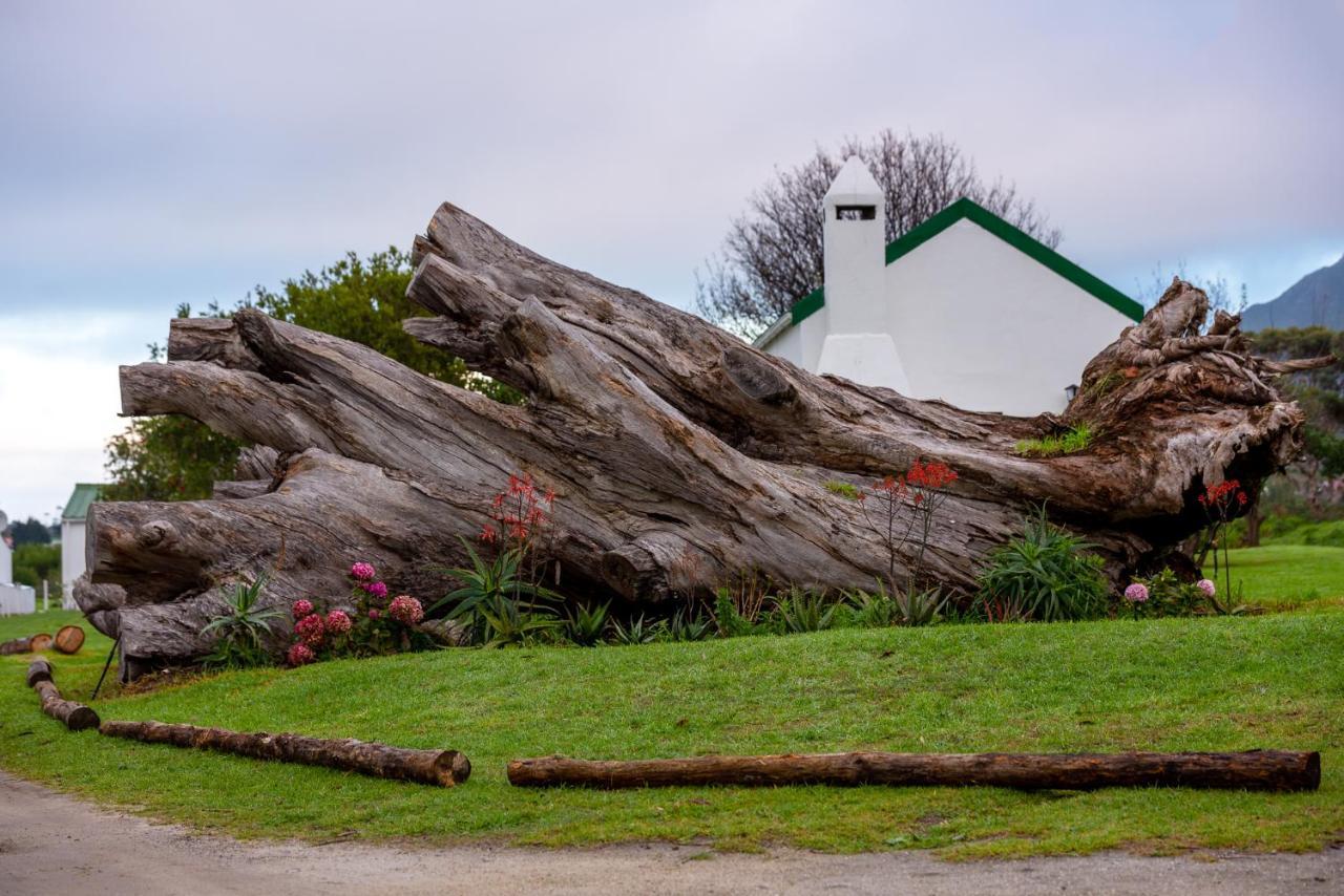 Honeyrock Cottages Kleinmond Εξωτερικό φωτογραφία